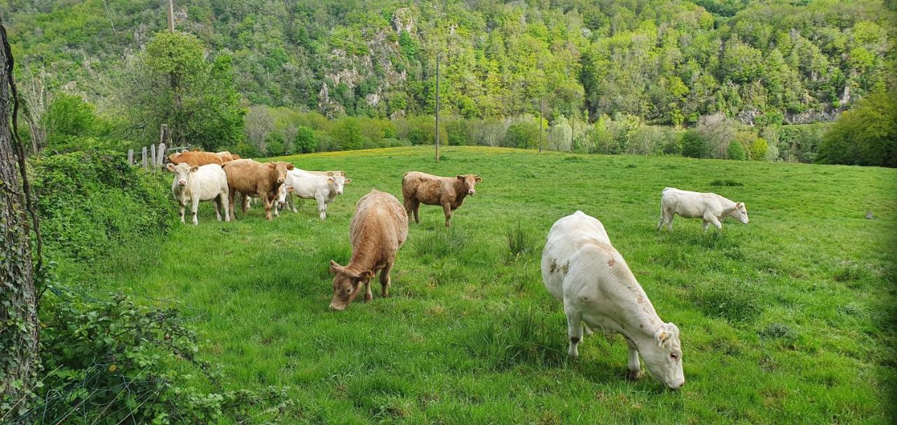 Chalets Lavaux Pouzol Zewnętrze zdjęcie